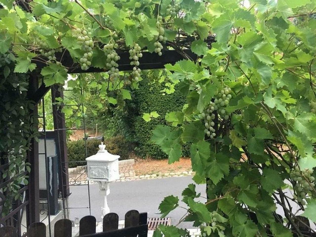 Ferienwohnung Kleiner Kalle Melsungen Bagian luar foto